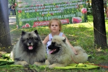 Кеесхонды и дети